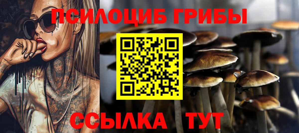 Псилоцибиновые грибы ЛСД Рубцовск